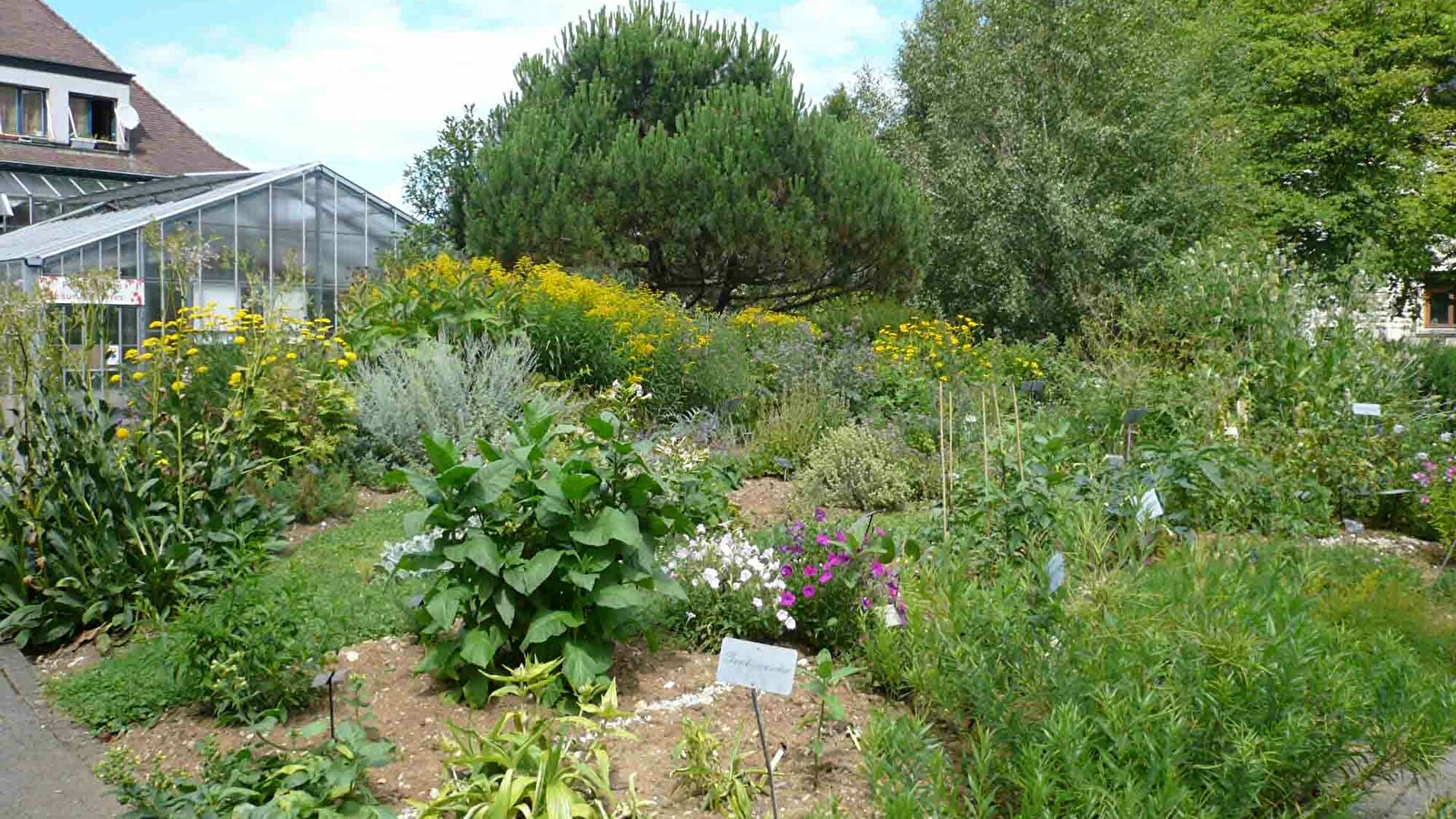 Le Jardin botanique