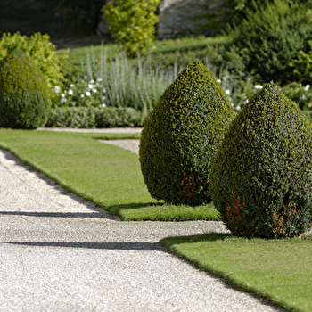 Rendez-vous aux jardins à l'abbaye de Fontenay - MARMAGNE