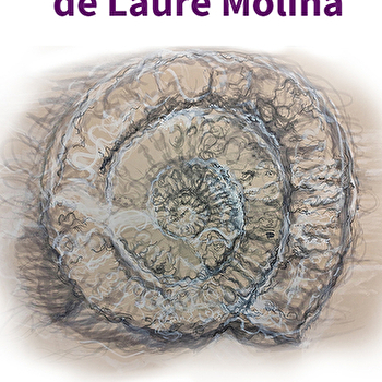 Rapatriement - exposition de Laure Molina - SEMUR-EN-AUXOIS