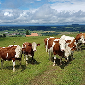 Crêt Monniot par les Cordiers - ARC-SOUS-CICON
