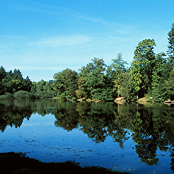 Bureau d'Information Touristique de Dompierre-les-Ormes - DOMPIERRE-LES-ORMES