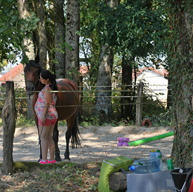 Ranch of the roses - équicoaching