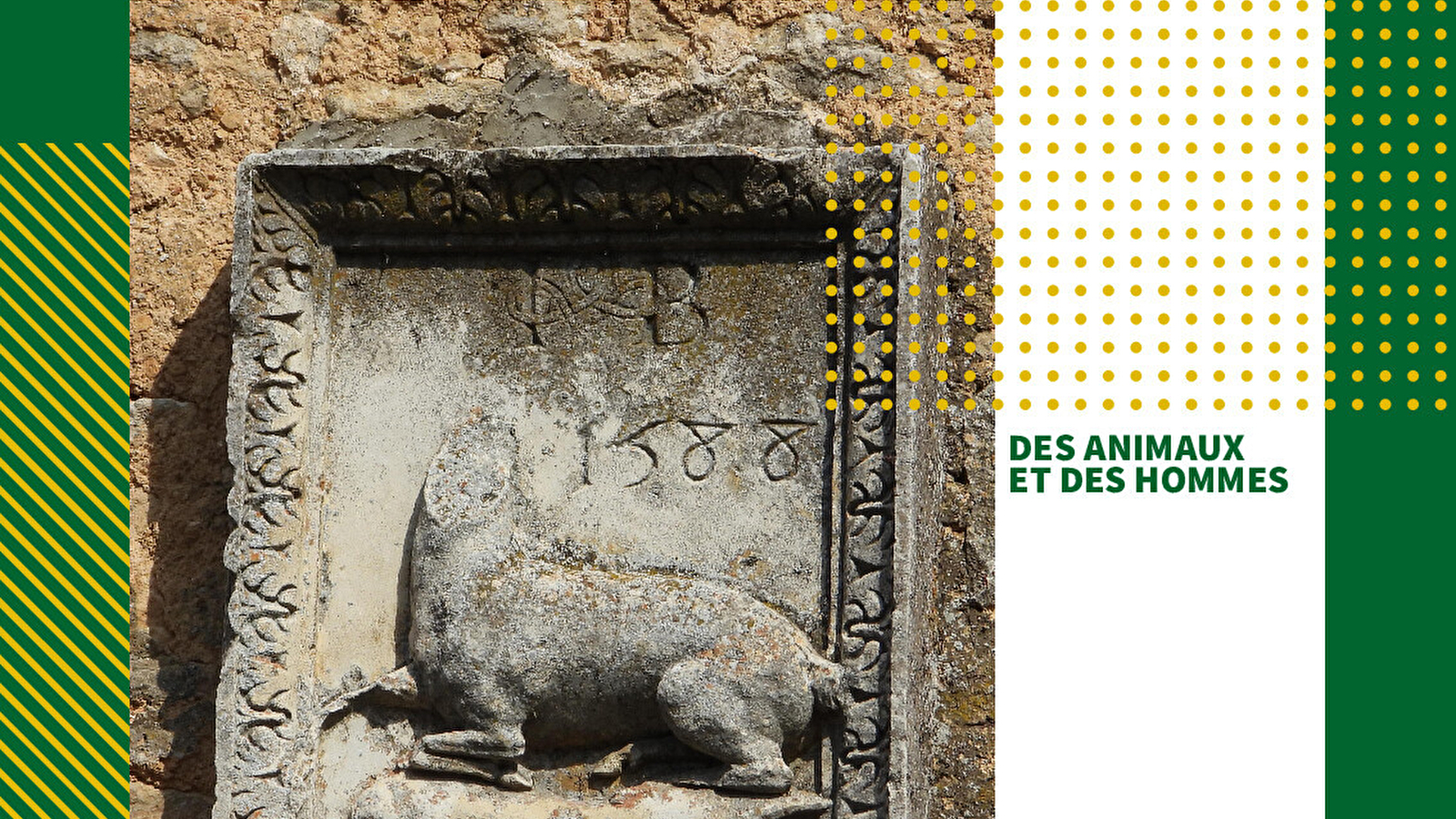 Visite guidée- 'Des Animaux et des Hommes'- Châteauneuf