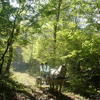 Gîte d'Etape 'Les Châtaigniers d'Ouilly'