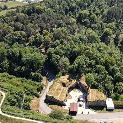 Visite libre du fort Saint-André