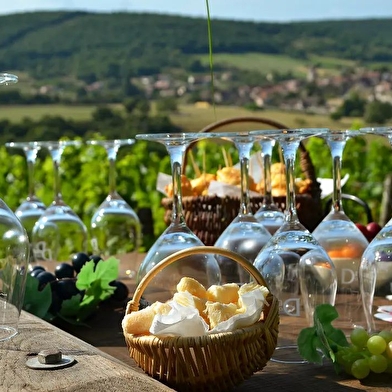 Dégustation au coeur des vignes