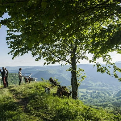 Aire de pique-nique du point de vue de Montmahoux