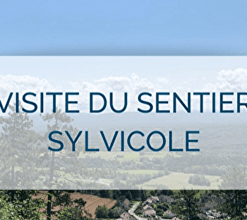 Visite guidée du sentier sylvicole d'Orgelet - ORGELET
