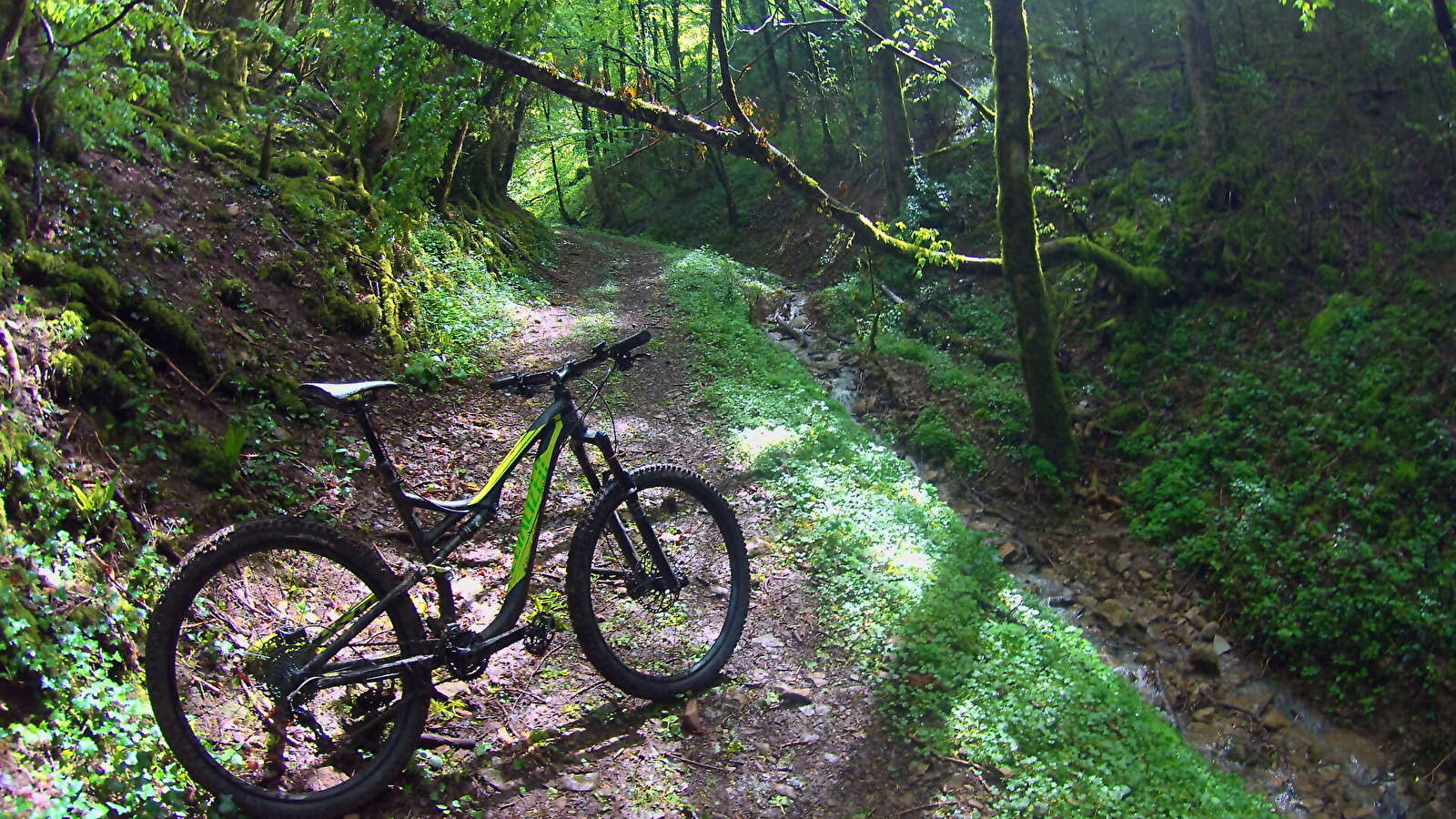 Circuit VTT n°4 (rouge) - Meillonnas-Treffort-Cuisiat