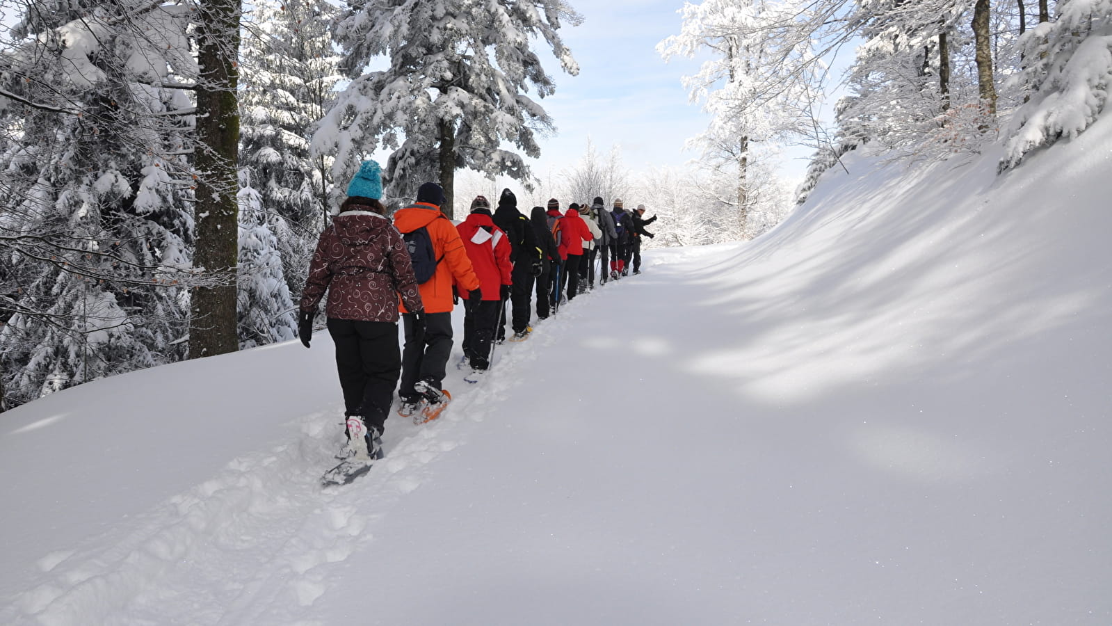 Circuit Les Petits Lynx