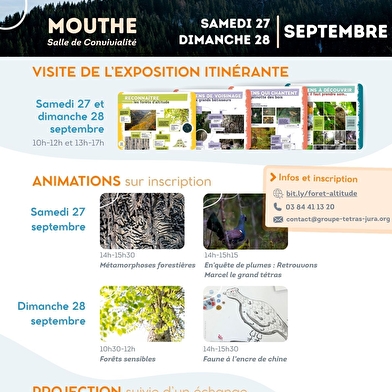 Exposition, animations et projection : Les forêts d'altitude, des forêts de liens