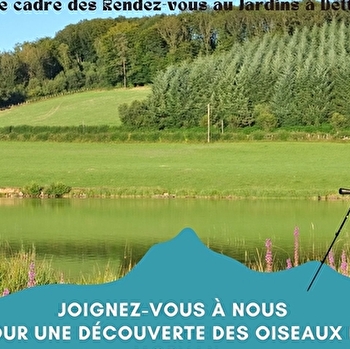 Balade ornithologique - DETTEY