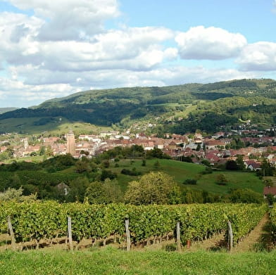Balade Gourmande du Triangle d'Or 