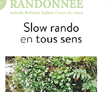 Slow rando en tous sens - ARBOIS