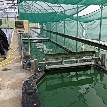 La Spiruline du Doubs - VILLERS-SAINT-MARTIN