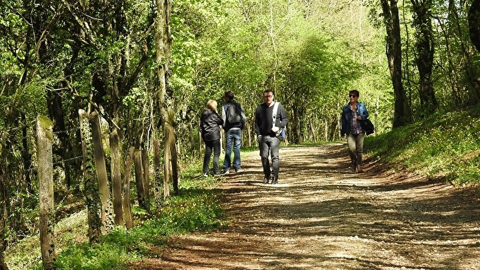 Plateau de Cita