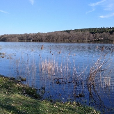 Etang Le Rousset