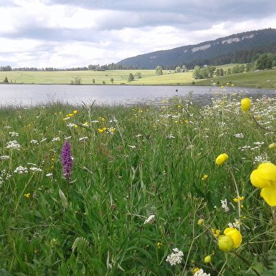 Roche Bernard et Tour des Lacs