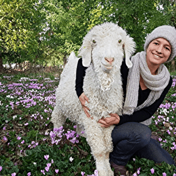 Atelier à la ferme autour des chèvres Angora et de la laine - TROIS-VEVRES