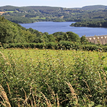Balade nature au cœur du Morvan : le lac de Pannecière - CHAUMARD