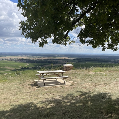Aire de pique-nique Table des Climats