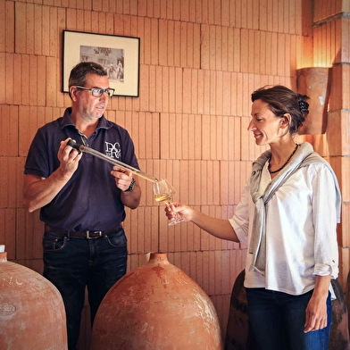 Domaine des Terres de Chatenay - Jean-Claude et Marie-Odile Janin