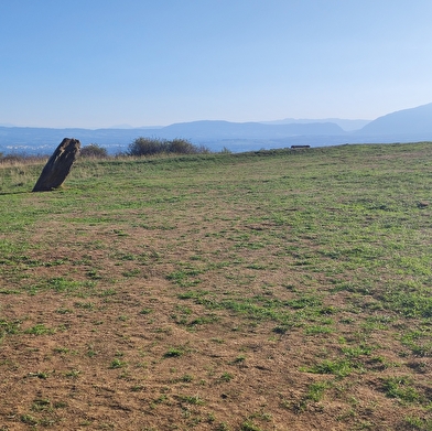 Randonnée pédestre : Grilly - le Mont Mourex