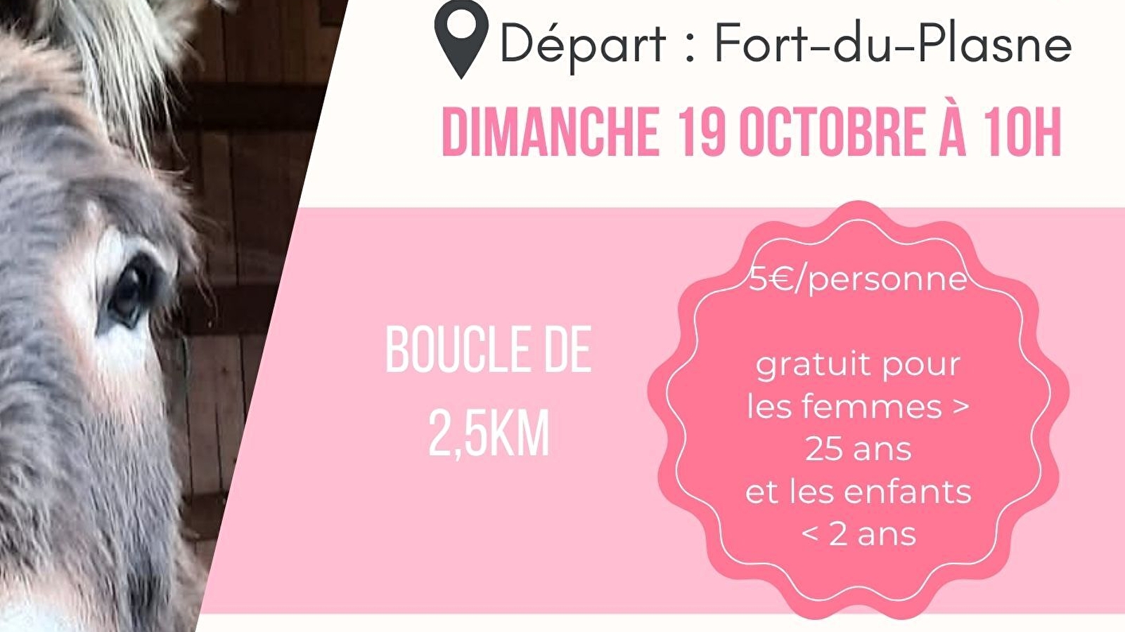 Balade solidaire avec les ânes