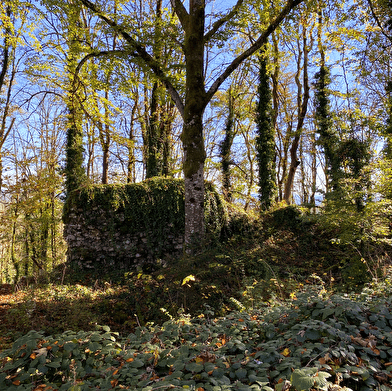La Tour d'Otton