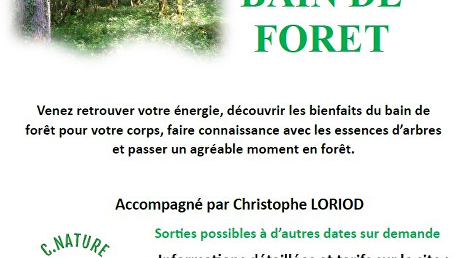 Bain de forêt - Sylvothérapie