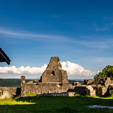 Vestiges du château de Présilly