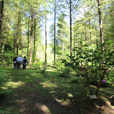 Parc à l'anglaise de la Cude