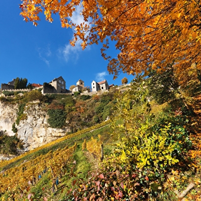Balade à Château-Chalon