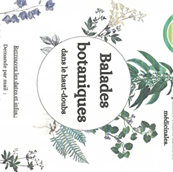 Balade botanique et découvertes culinaires - PONTARLIER