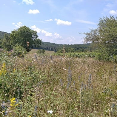 Viaduc de Crainseny