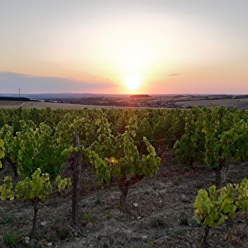 'It's Wine Time' sur les bords de Loire - MYENNES