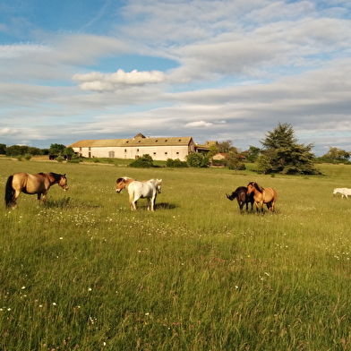 EQUI'Nat - Cheval Nature, Cheval pour tous