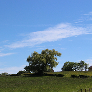 Circuit des vignobles