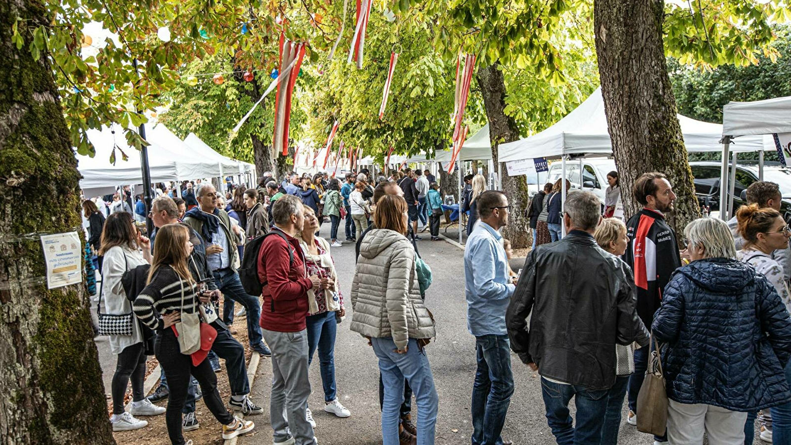 Gevrey Wine Food and Music