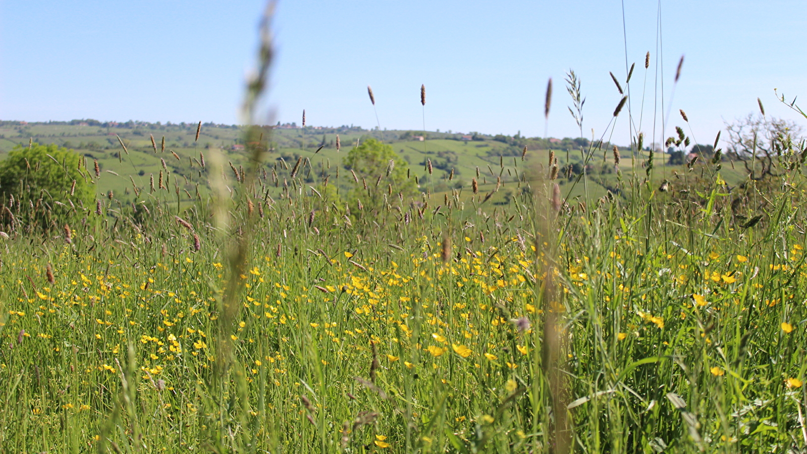 La Vallée du Bézo