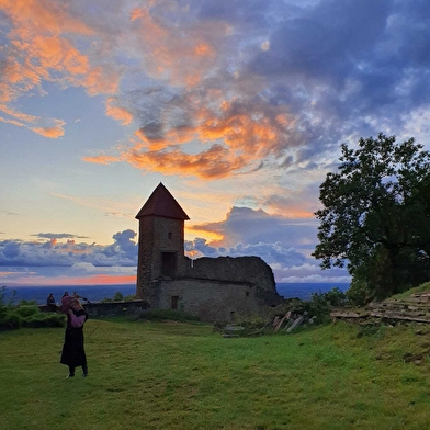 Expositions au Château de Chevreaux