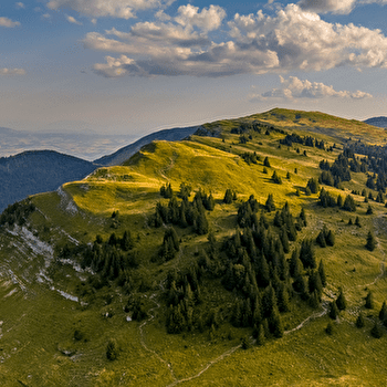 Randonnée pédestre : La Grande Marche Populaire de Gex - GEX