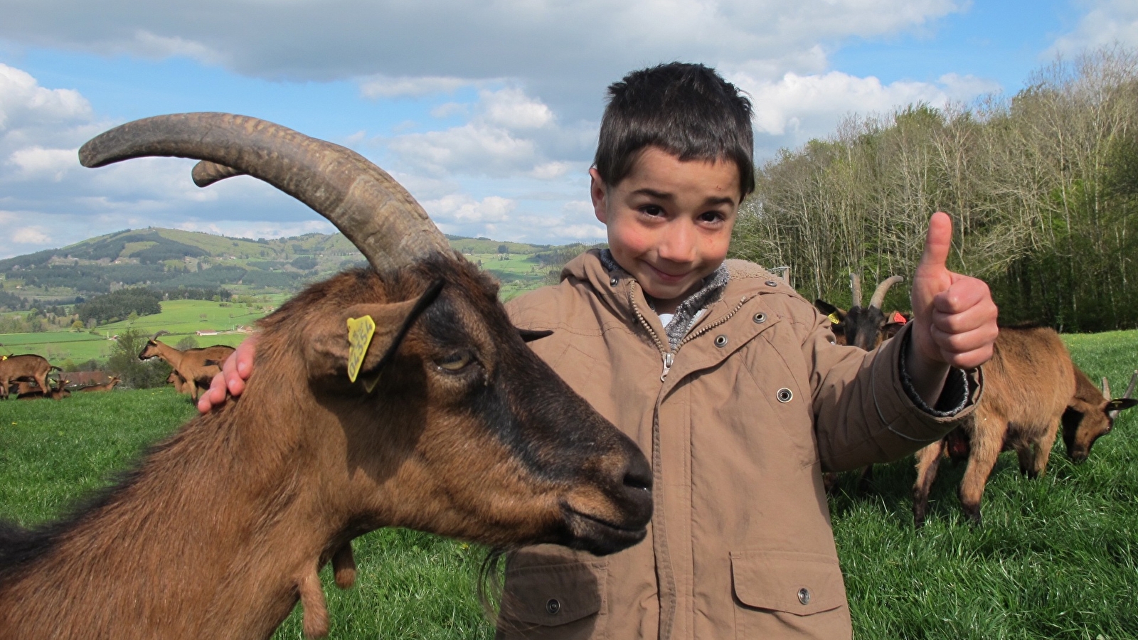 Ferme des Avoineries