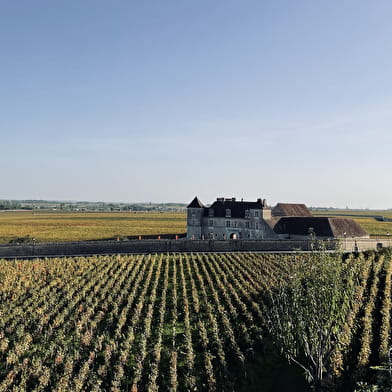 Safari Tours - Tour n°8 Côte de Nuits - Côte de Beaune