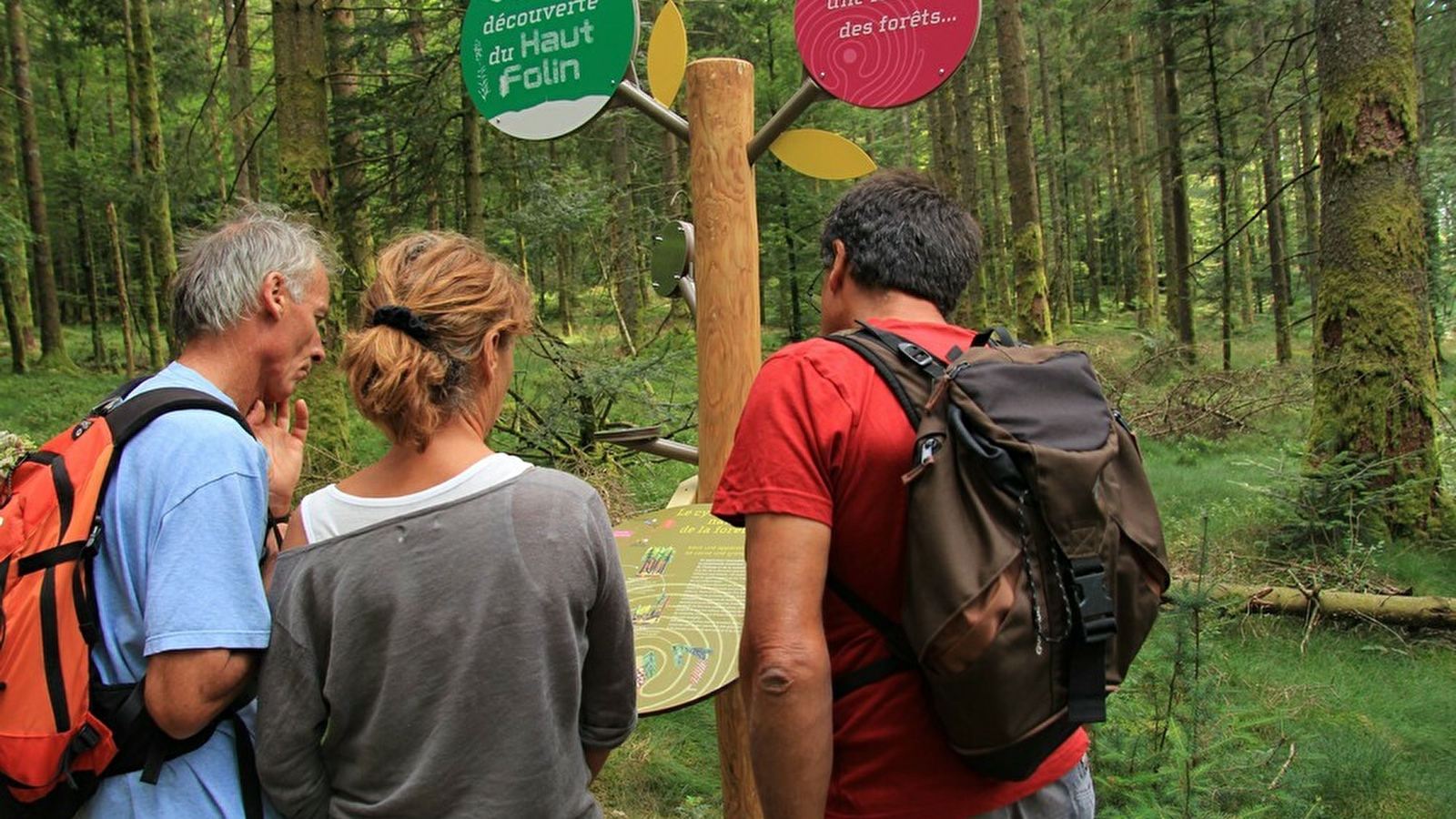 A la découverte du Haut Folin