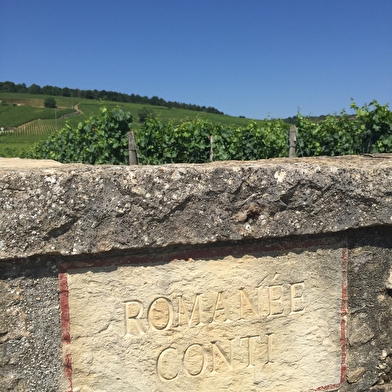 Oenotourisme sur La Route des Grands Crus