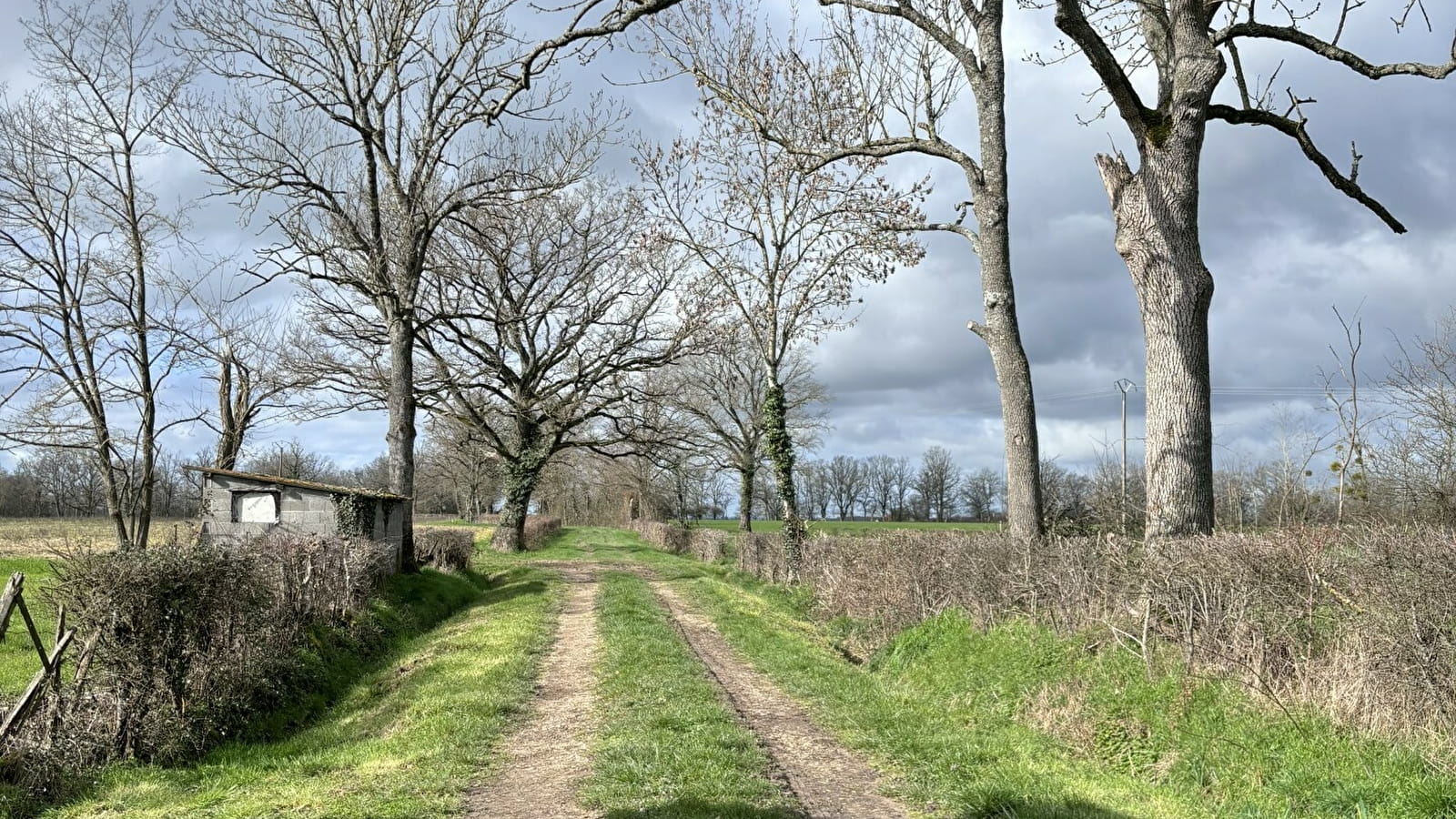 Balade Verte - Sur le haut du village (VSG 1)