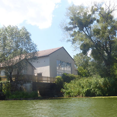 Bois de Brussey