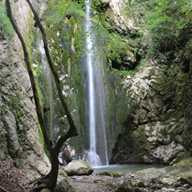 Randonnée pédestre - Crêt de Chalam depuis Forens