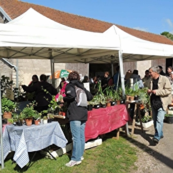 Troc aux plantes - MARCELLOIS